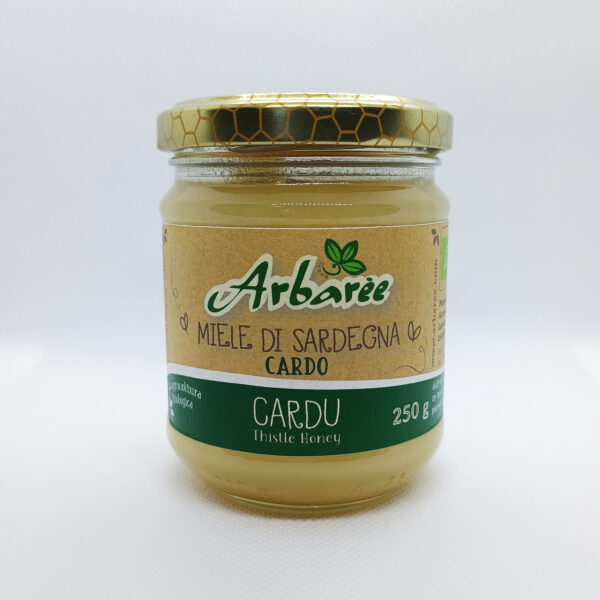 CARDO