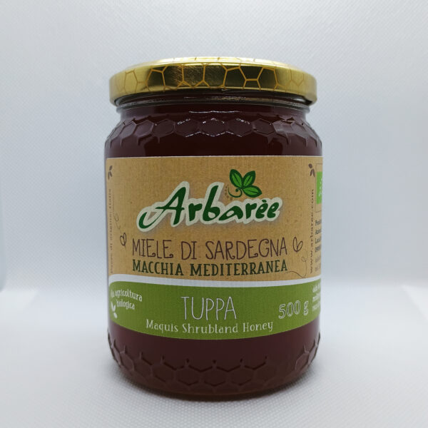 MACCHIA MEDITERRANEA